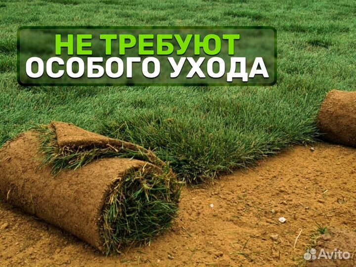 Рулонный газон. От производителя