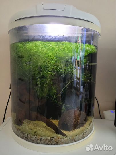 Аквариум с рыбками