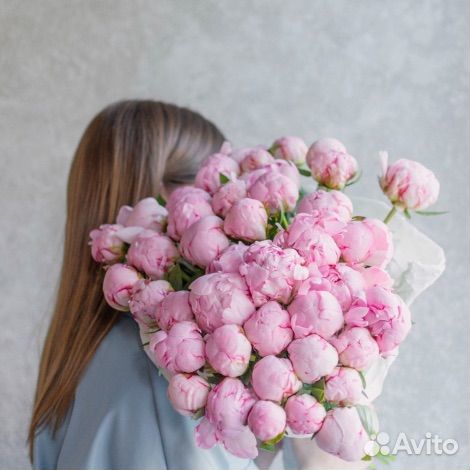 Роза Кантри Блюз Пион