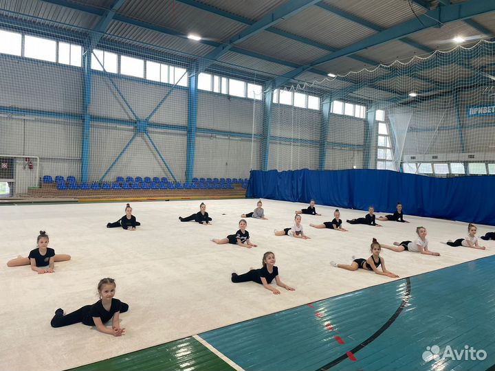 Ковёр для художественной гимнастики универсальный