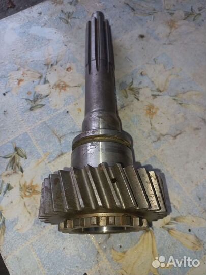 Первичный вал