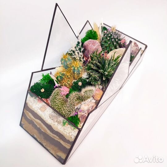 Флорариум “Горы с кактусами” 30х20см