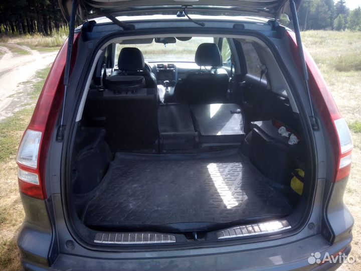 Зоотакси - перевозка животных