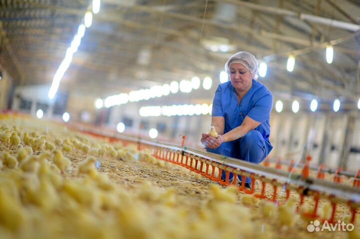 Рабочий на вахту