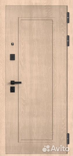 Дверь входная железная в квартиру