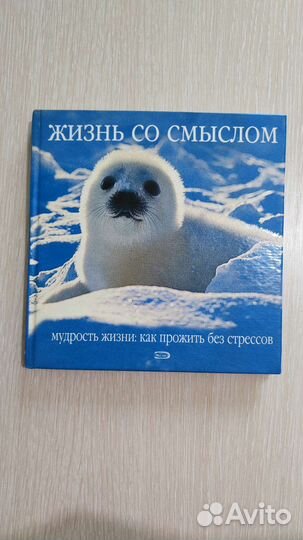 Книга в картинках 