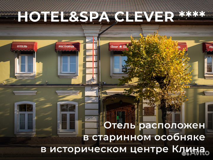Отдых / SPA / Музеи