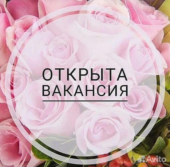 Администратор магазина одежды в ТЦ Макси