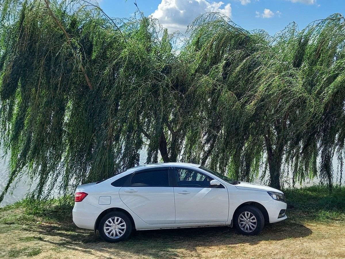 ВАЗ (LADA) Vesta: фото владельца