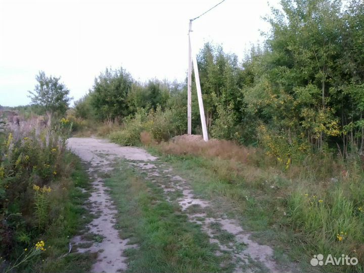 Торф бесплатно