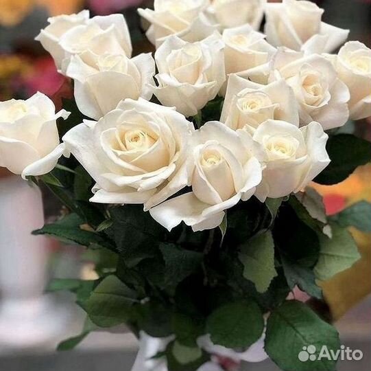 Розы Цветы Букеты 25 151 201 101 301 501 опт