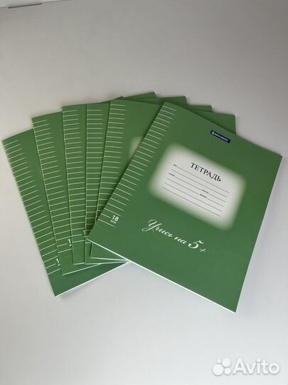 Тетрадь 18 л. brauberg эко 