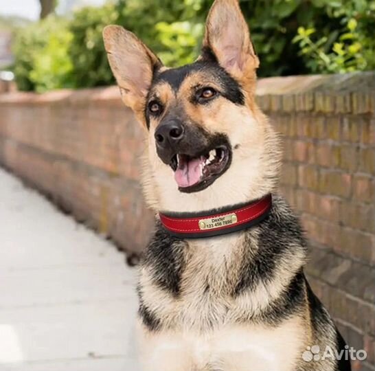 Ошейник с гравировкой из натуральной кожи