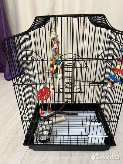 Клетка для среднего попугая со всем содержимым