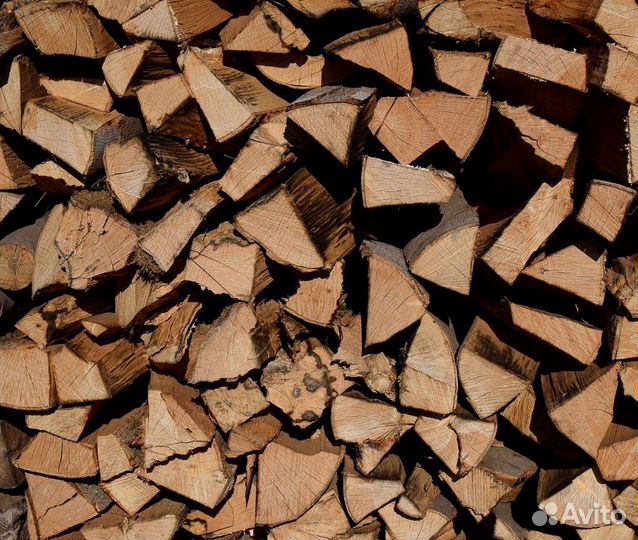 Дрова береза