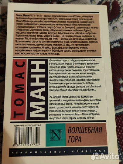 Волшебная гора Томас Манн