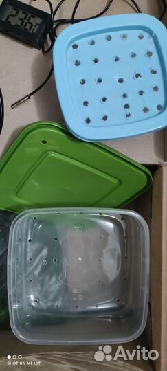 Инкубатор для яиц рептилий