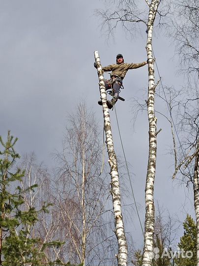 Уборка расчистка участка