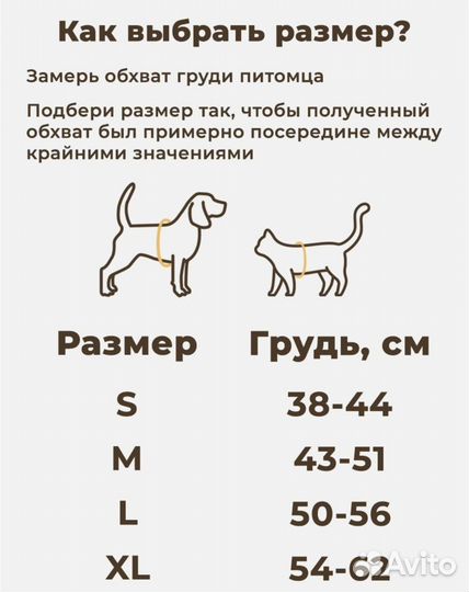 Шлейка для собак и кошек с поводком