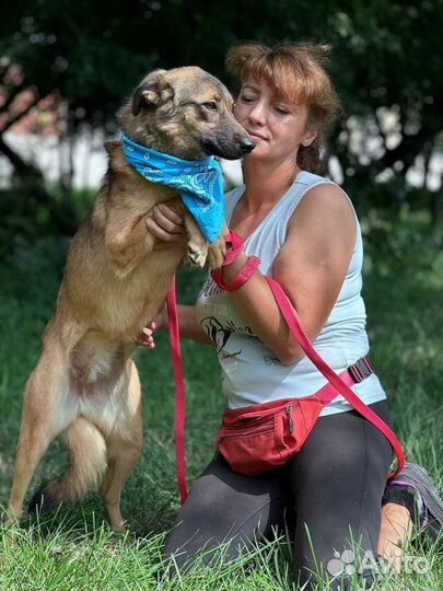 Собака Нежная Саша