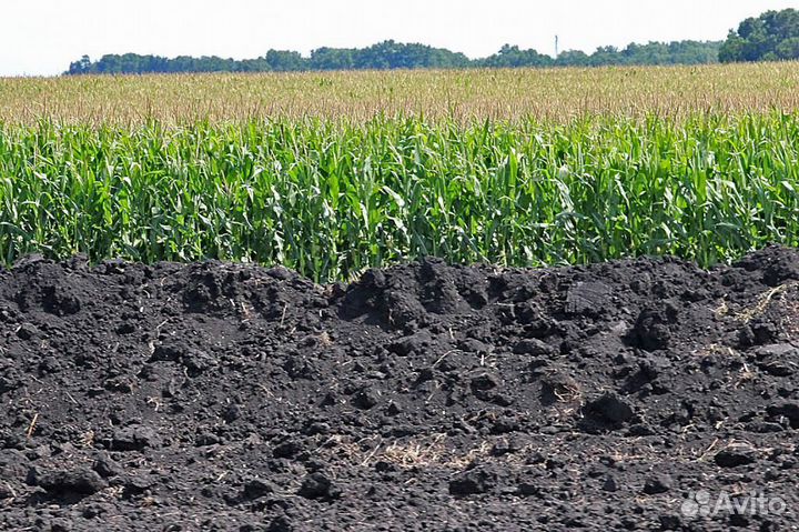 Плодородная земля, почва