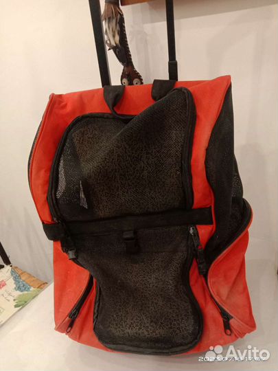 Автокресло и рюкзак на колесах для животных