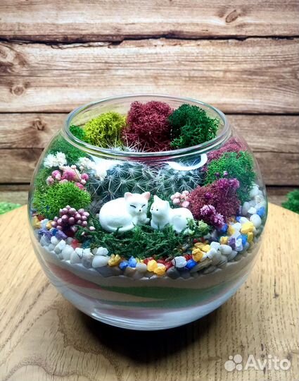 Флорариум с фигурками котиков
