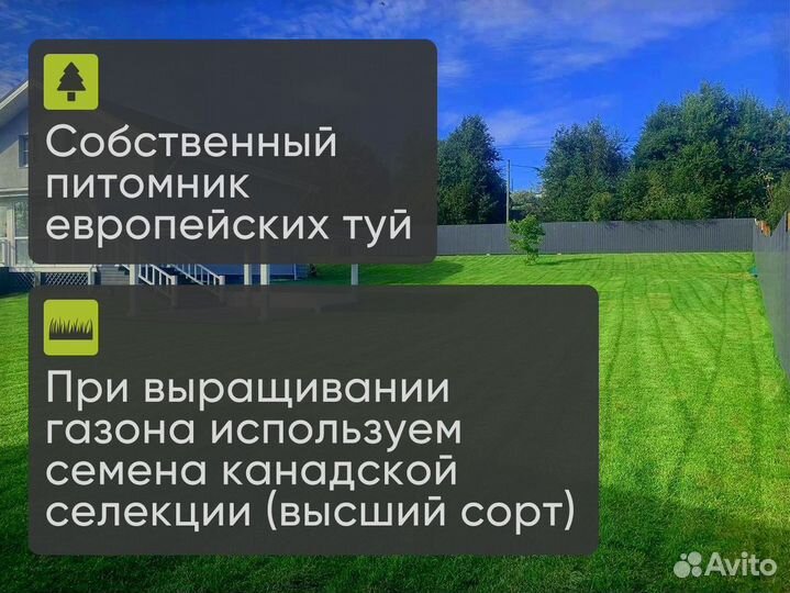 Газон для плодородной почвы