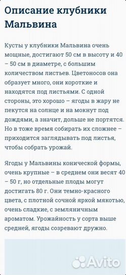 Клубника 