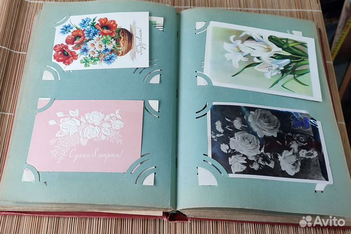 Фотоальбом.Фотографии.Цветы