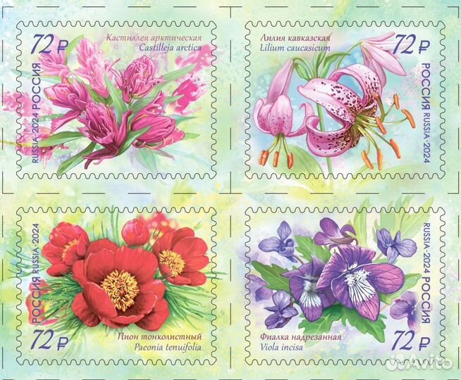 Россия, 2024. (3296-99) Цветы