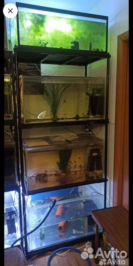 Аквариум