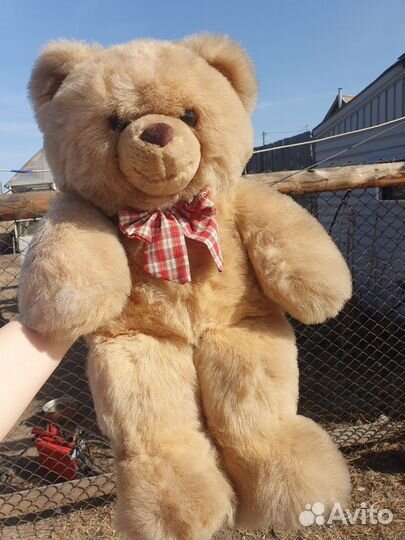 Плюшевый медведь
