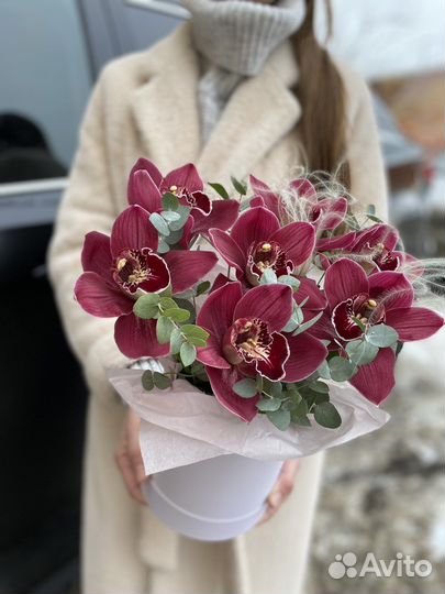 Орхидеи, феленопсис, цимбидиум, букет