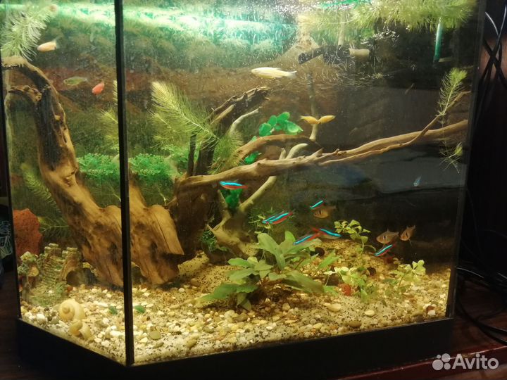 Аквариум 60л
