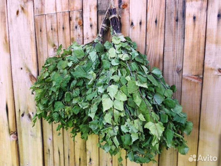 Веники берёзовые