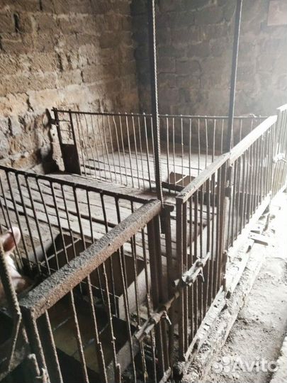 Кормушки клетки для домашних животных