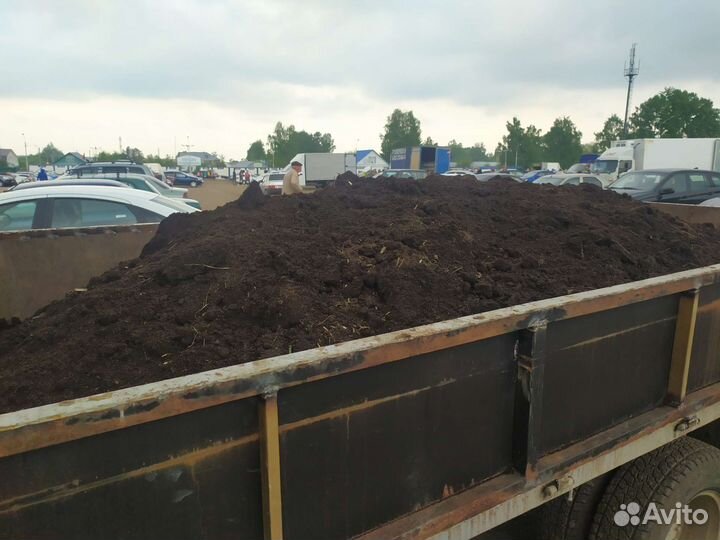 Перегной навоз