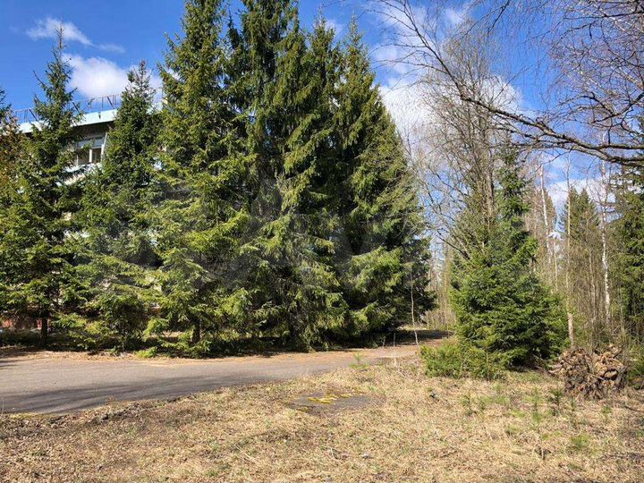 Гостиница, 5000 м²