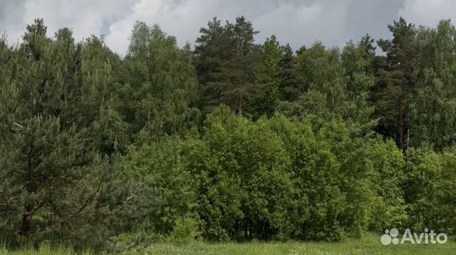 Фото объявления