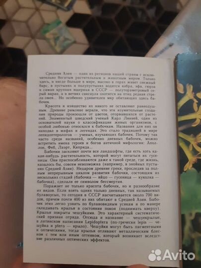 Бабочки Средней Азии СССР