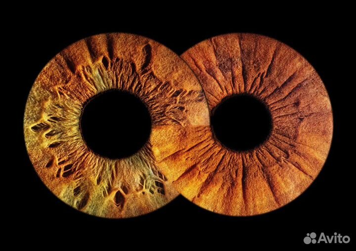 Необычное Свидание сюрприз