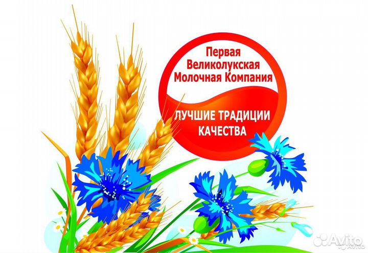 Водитель-экспедитор категории 