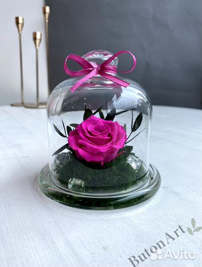 Роза в колбе