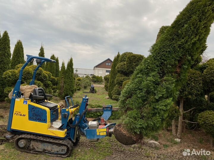 Пересадчик деревьев Pazzaglia FZ110, 2013
