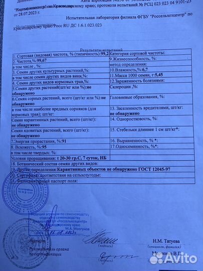 Рапс. семена озимого рапса