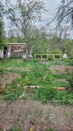 Дом 25 м² на участке 3 сот.