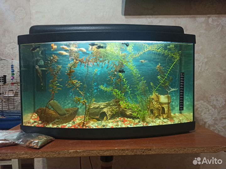 Аквариум со столом