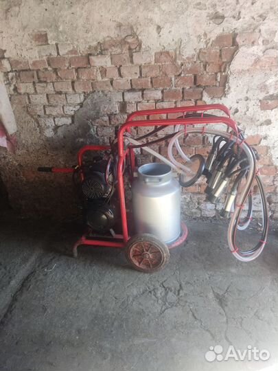 Доильный аппарат и сепаратор