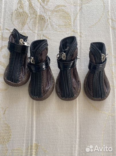 Обувь на собаку